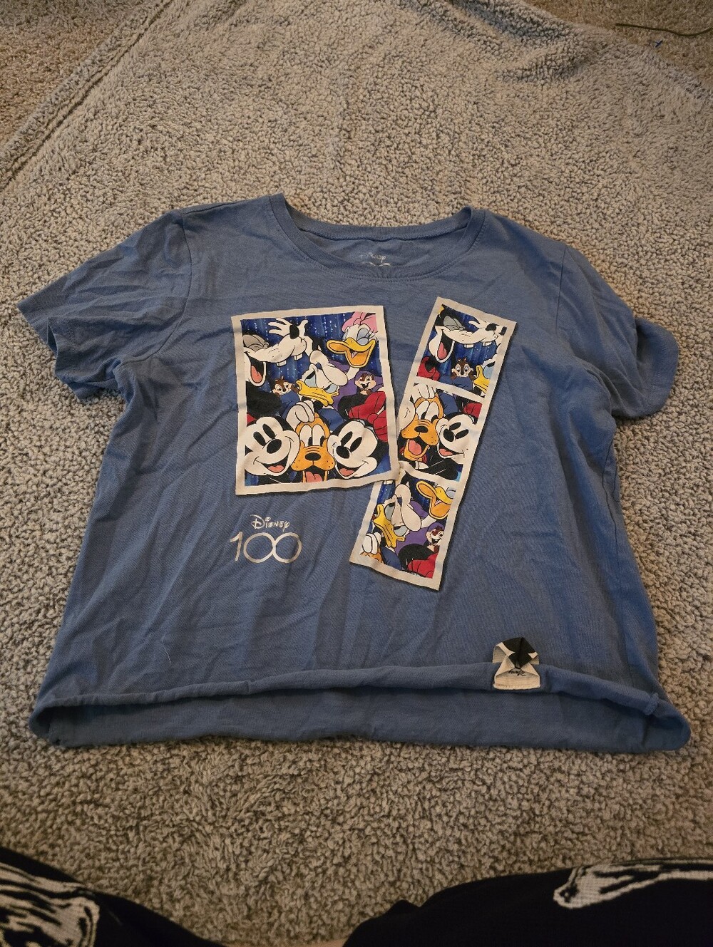 Disney 100 XL Blue Character Graphic Crop Tee